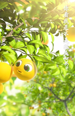 褚橙橙的成长日记